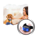 Collier anti-aboiement