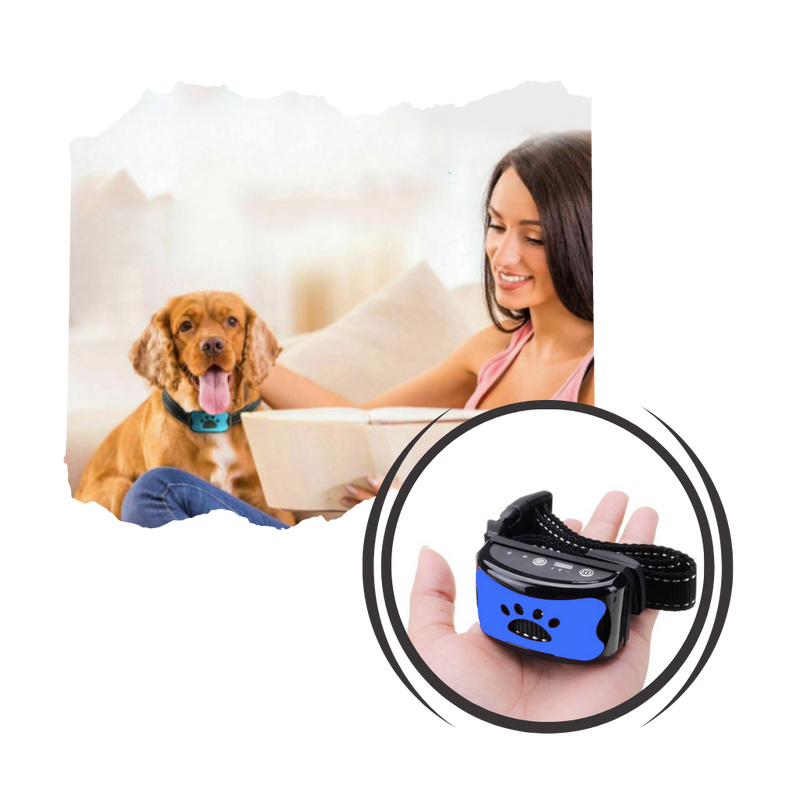 Collier anti-aboiement