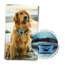 Collier anti-aboiement