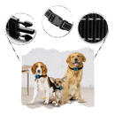 Collier anti-aboiement