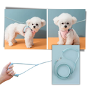 Ensemble harnais et laisse pour animaux