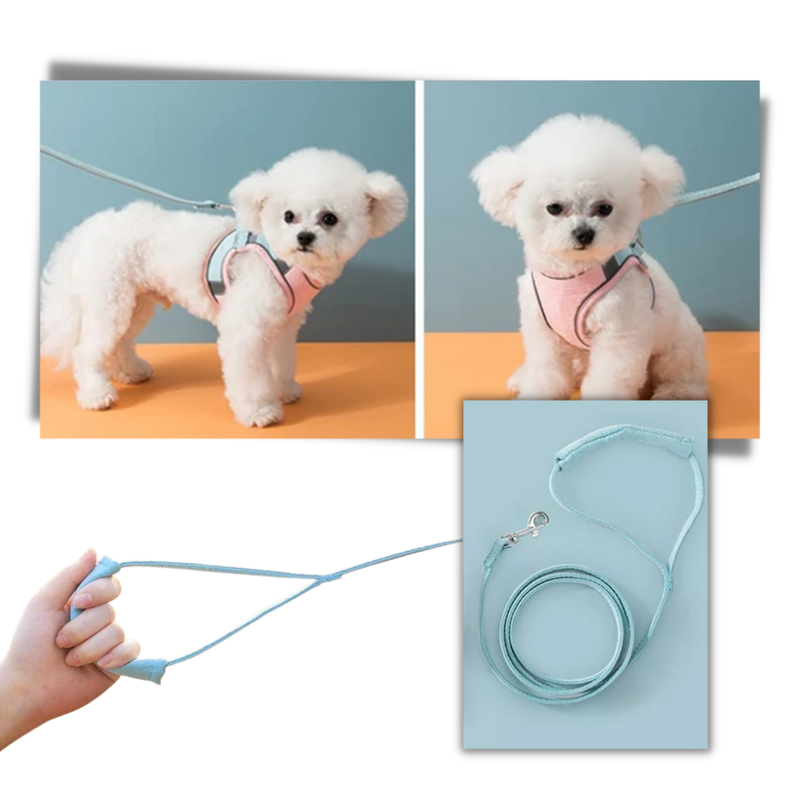 Ensemble harnais et laisse pour animaux