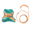 Ensemble harnais et laisse pour animaux