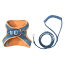 Ensemble harnais et laisse pour animaux