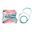 Ensemble harnais et laisse pour animaux