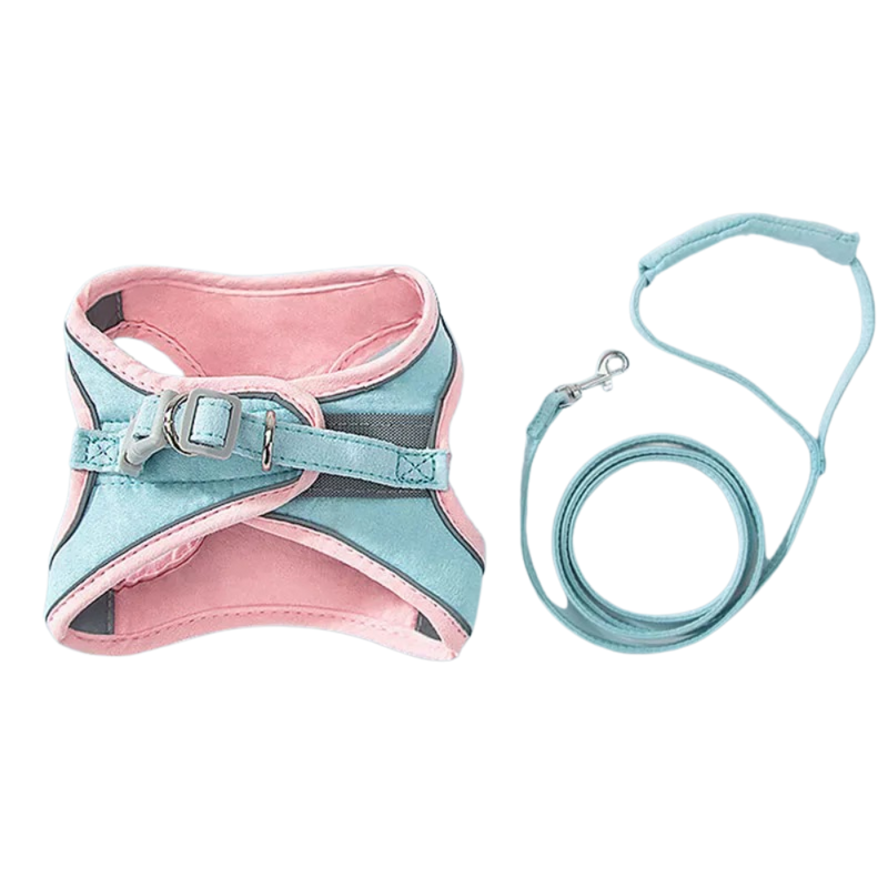 Ensemble harnais et laisse pour animaux