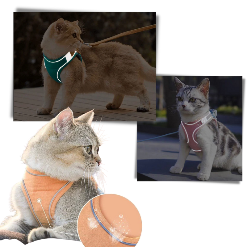 Ensemble harnais et laisse pour animaux