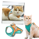 Ensemble harnais et laisse pour animaux