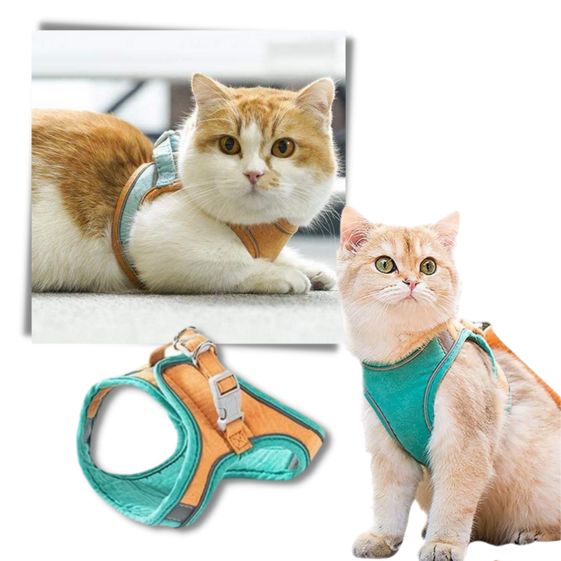 Ensemble harnais et laisse pour animaux