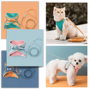 Ensemble harnais et laisse pour animaux