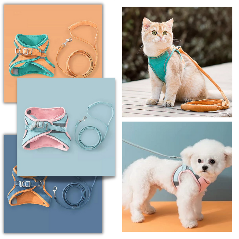 Ensemble harnais et laisse pour animaux
