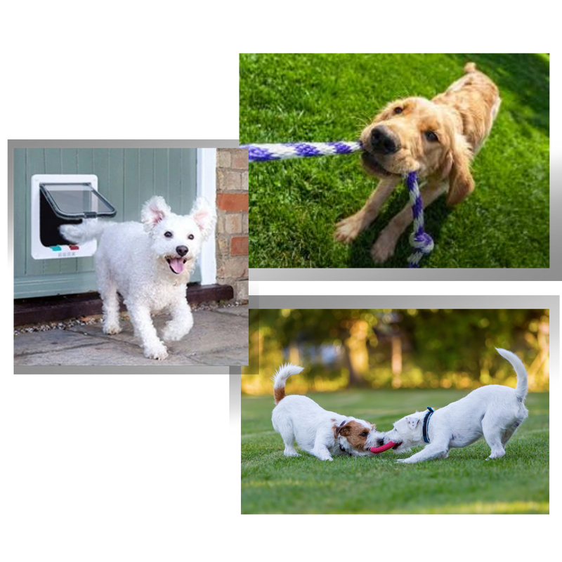 Chatière pour porte