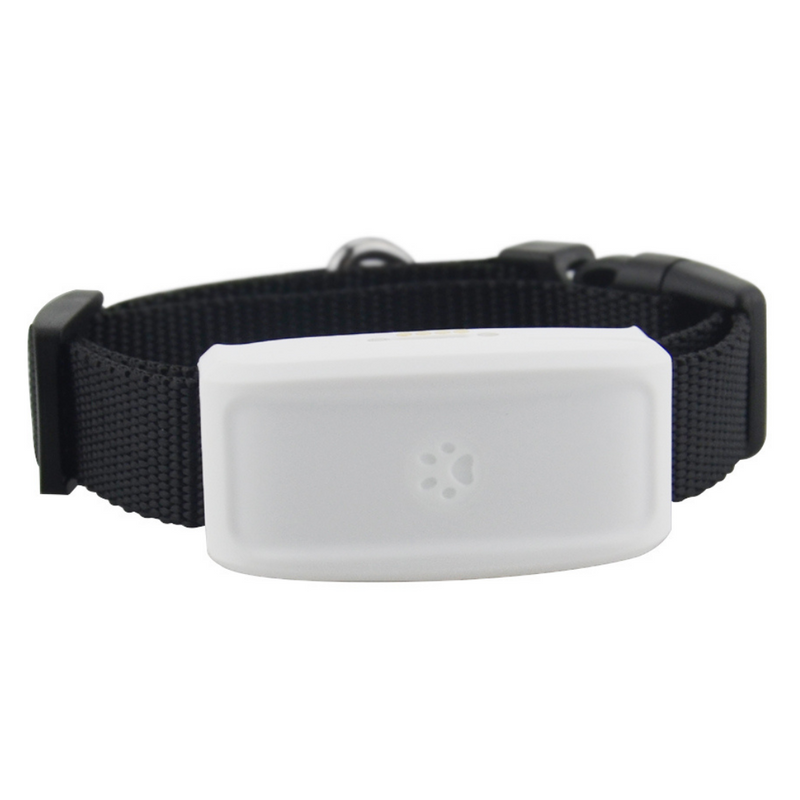 Collier de repérage gps pour animaux de compagnie