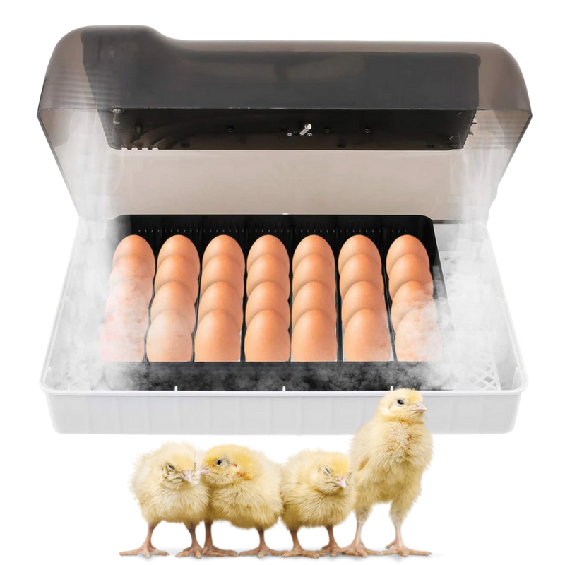 Incubateur automatique d'oeufs