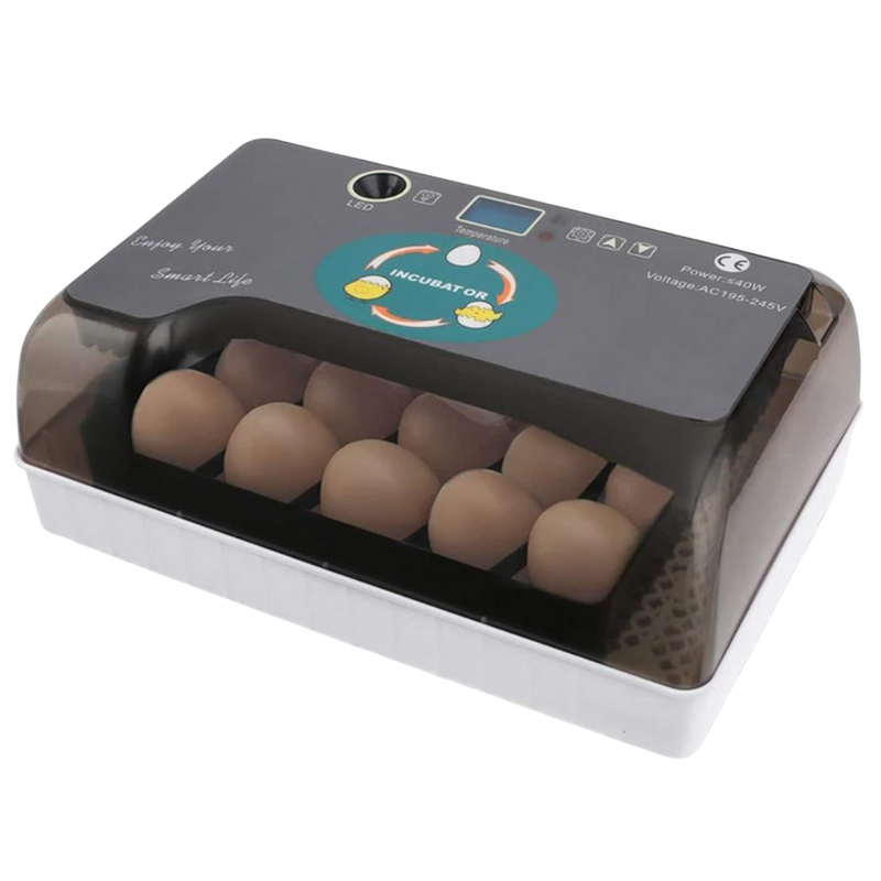 Incubateur automatique d'oeufs