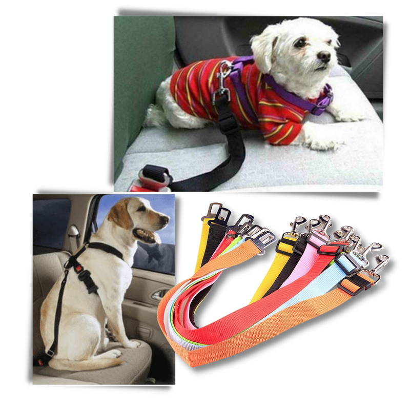 Ceinture de sécurité réglable pour chiens en voiture