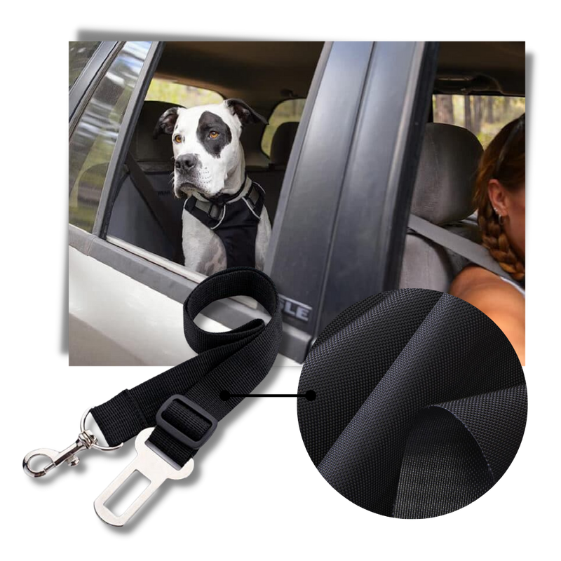Ceinture de sécurité réglable pour chiens en voiture