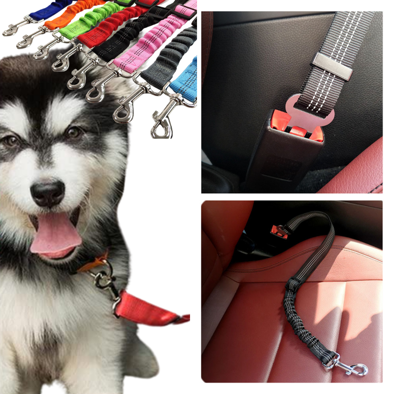 Ceinture de sécurité réglable pour chiens en voiture