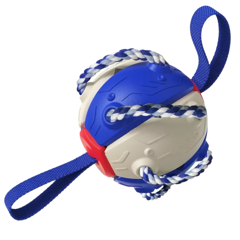 Ballon de frisbee pour chien