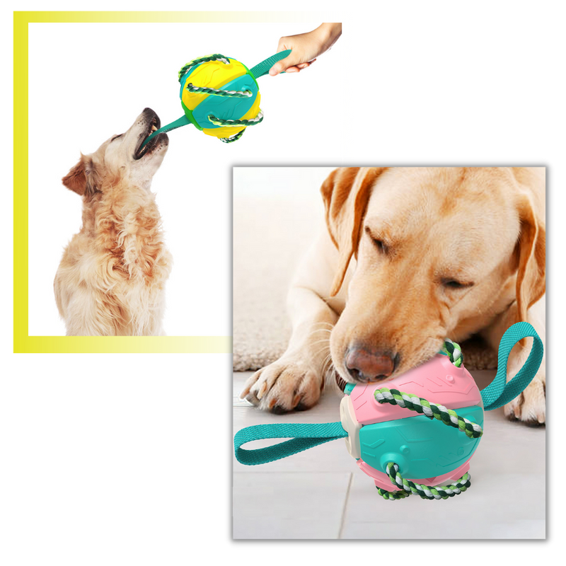 Ballon de frisbee pour chien