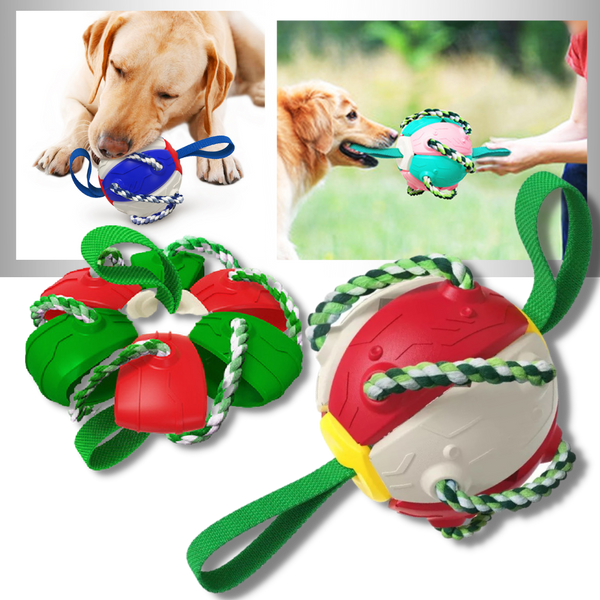 Ballon de frisbee pour chien