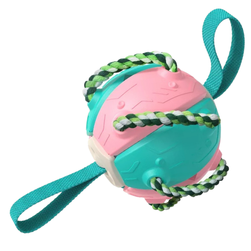 Ballon de frisbee pour chien