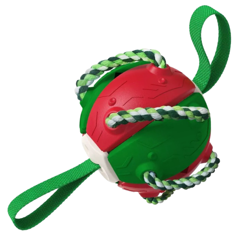 Ballon de frisbee pour chien