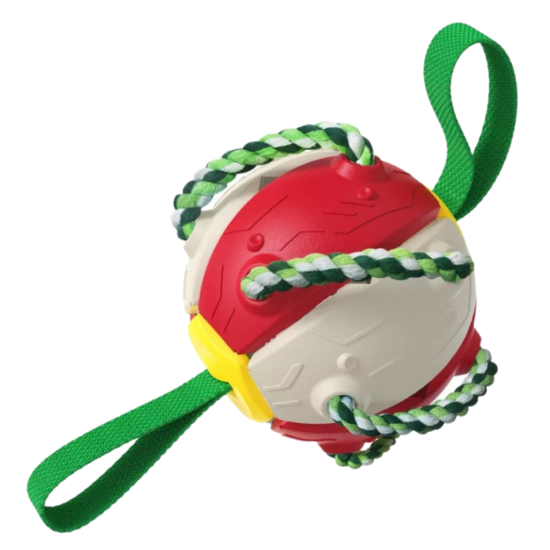 Ballon de frisbee pour chien