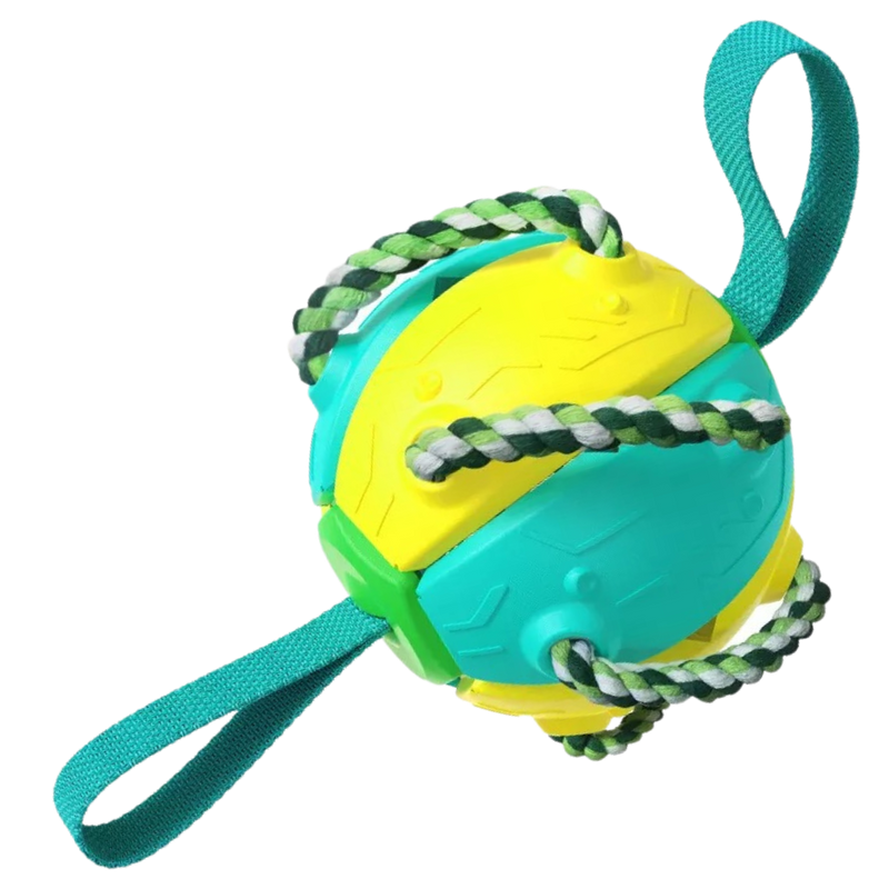 Ballon de frisbee pour chien