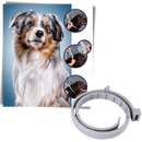 Collier anti-puces pour animaux de compagnie