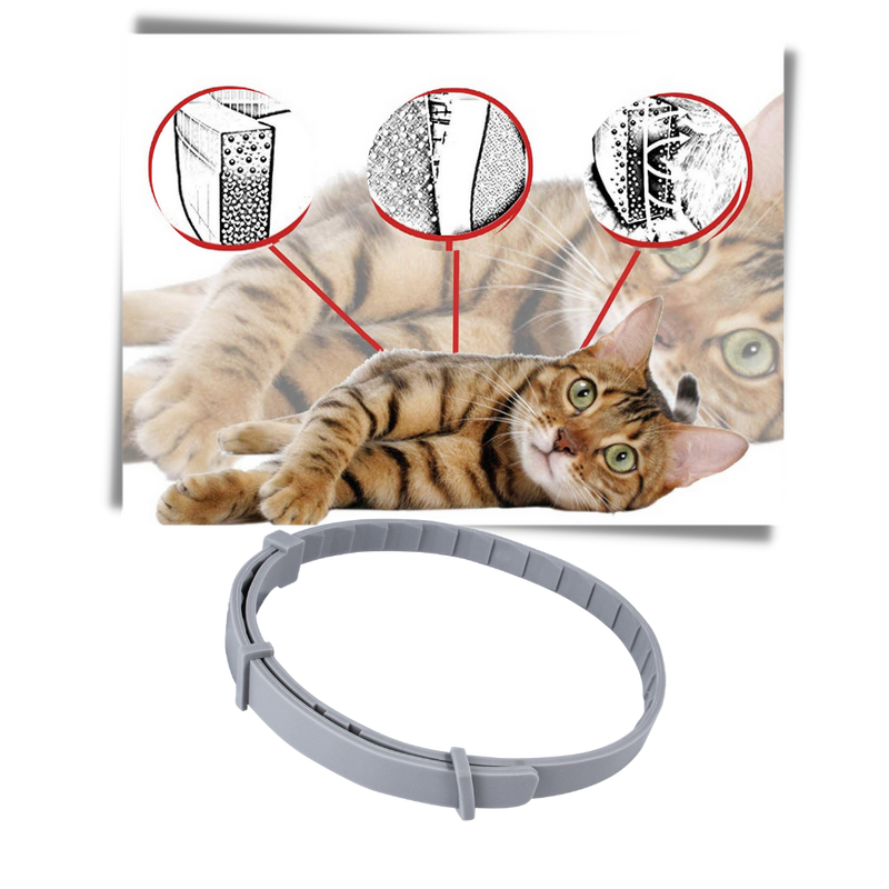 Collier anti-puces pour animaux de compagnie