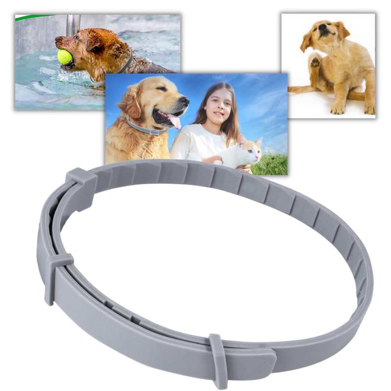 Collier anti-puces pour animaux de compagnie