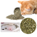 Jouet poisson pour chat