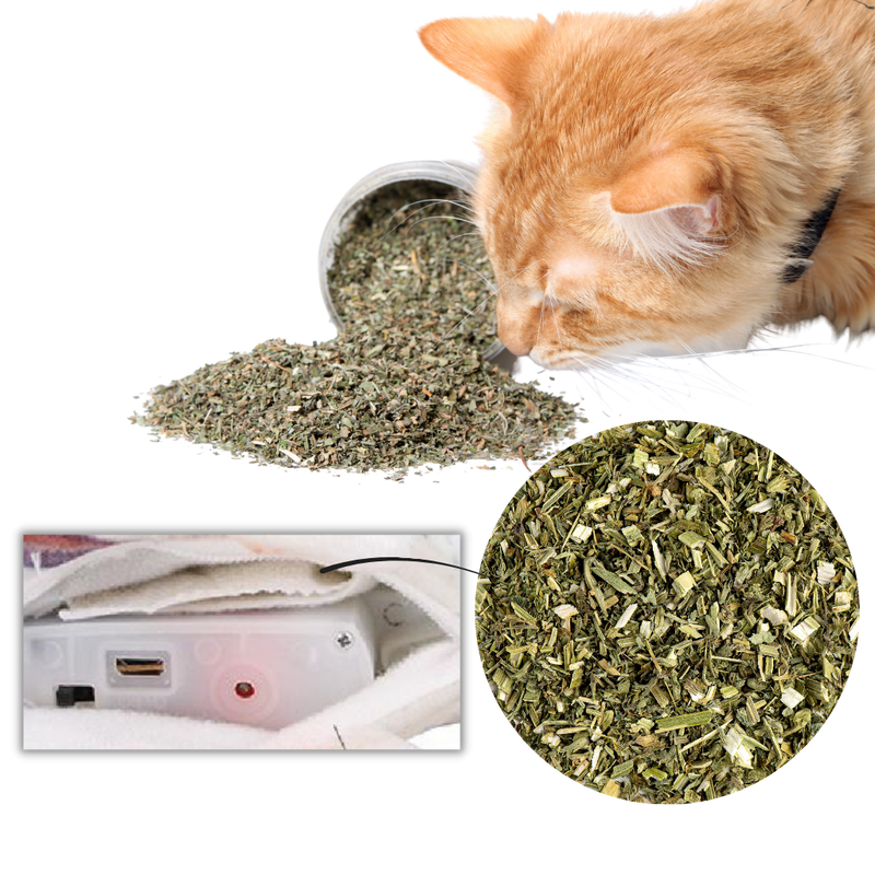 Jouet poisson pour chat