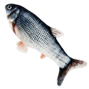 Jouet poisson pour chat