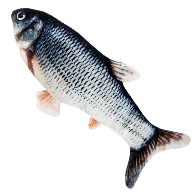 Jouet poisson pour chat