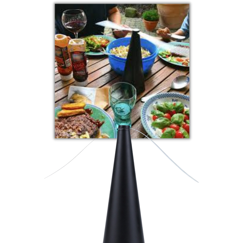 Ventilateur anti-mouches