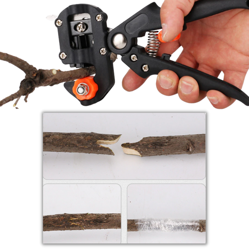 Sécateur de jardin et outil de greffage