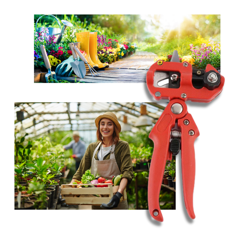 Sécateur de jardin et outil de greffage