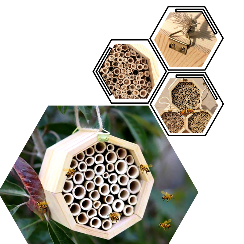 Maison en bois hexagonale pour abeilles