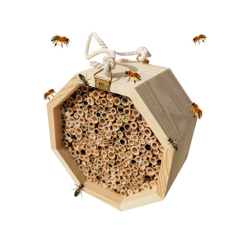 Maison en bois hexagonale pour abeilles