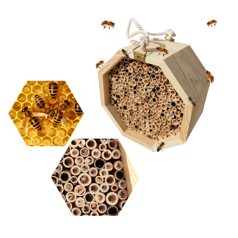 Maison en bois hexagonale pour abeilles