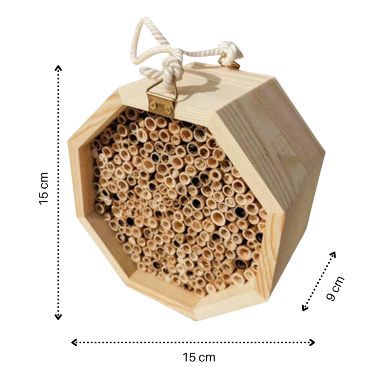 Maison en bois hexagonale pour abeilles