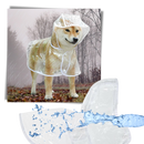 Imperméable à capuche pour chiens