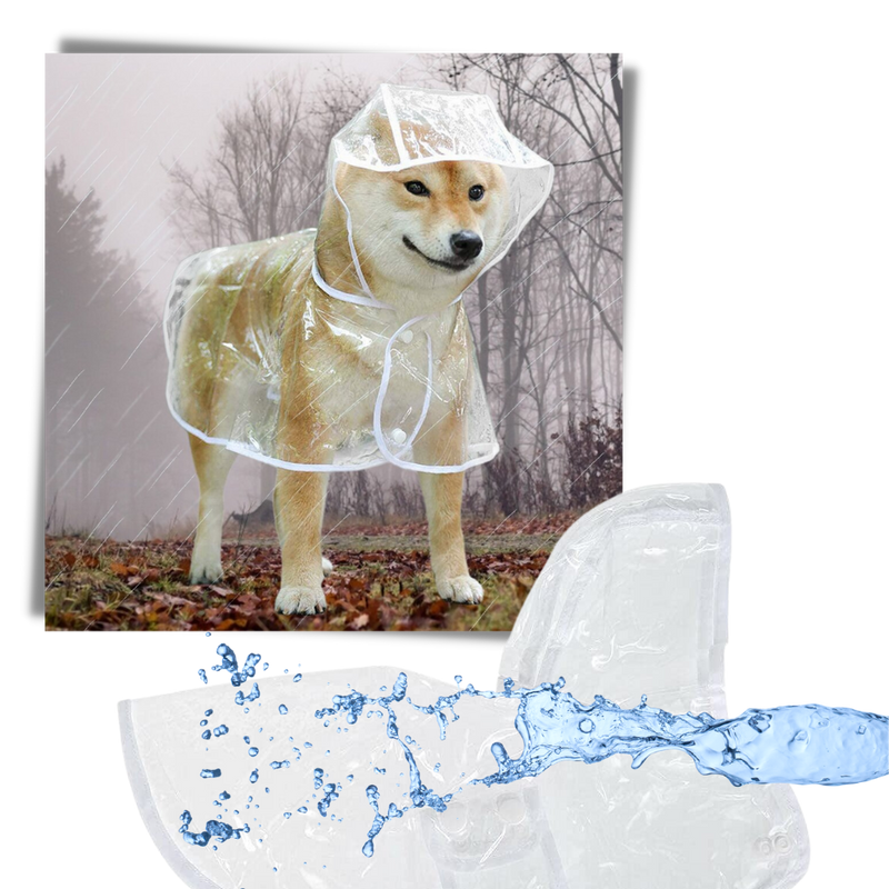 Imperméable à capuche pour chiens