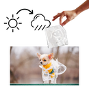 Imperméable à capuche pour chiens