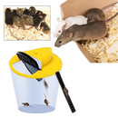 Piège à rats et souris par seau