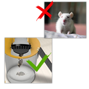 Piège à rats et souris par seau