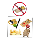 Piège à rats et souris par seau