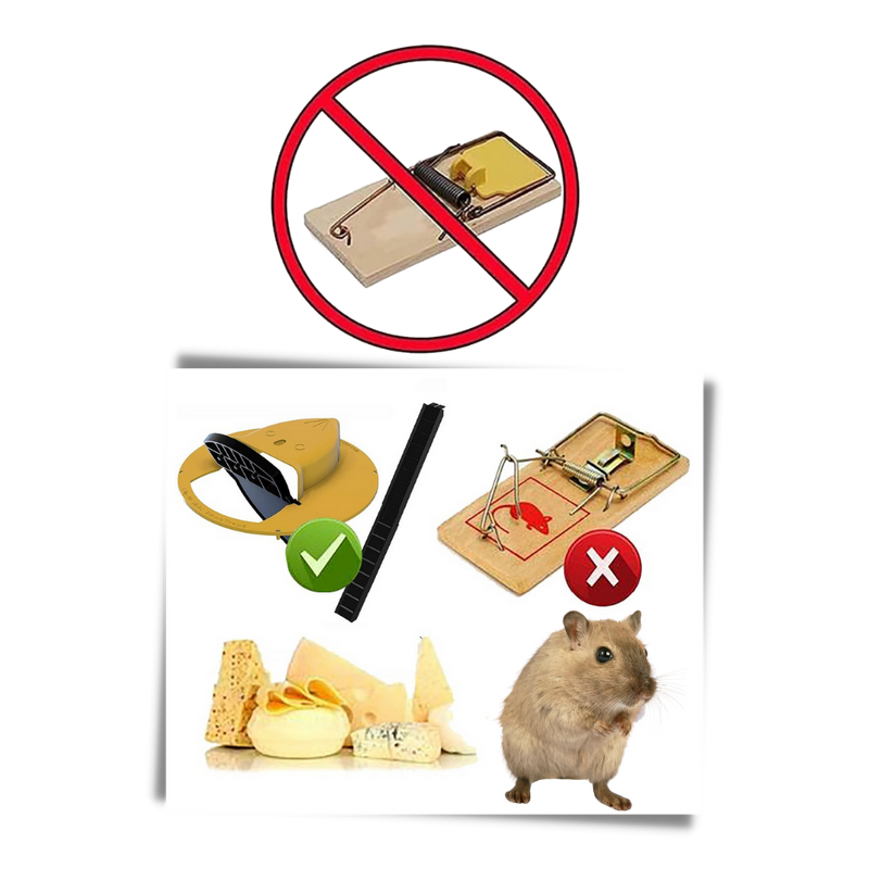 Piège à rats et souris par seau
